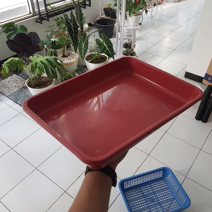 Nampan plastik tray semai nampan kue nasional murah meriah