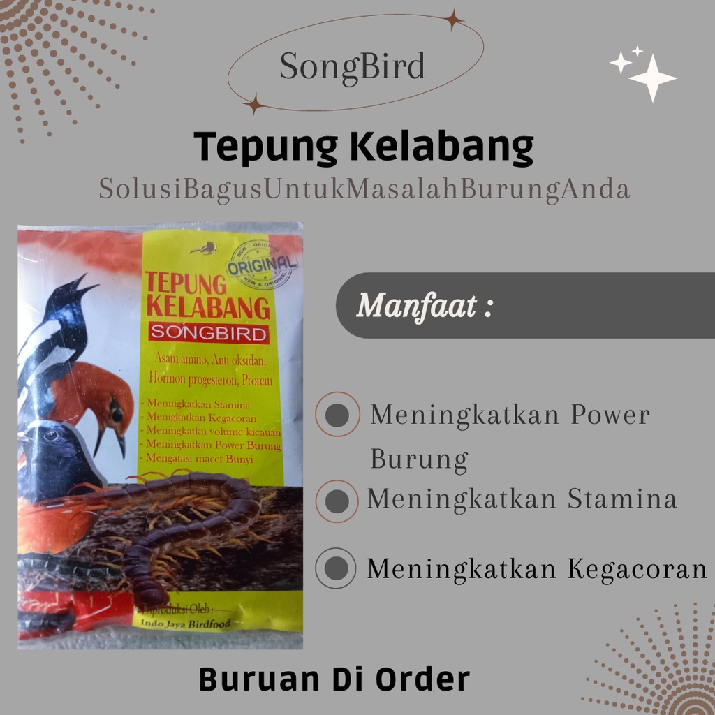 TEPUNG KELABANG SONGBIRD / PAKAN BURUNG MURAI / MAKANAN HARIAN BURUNG MURAI