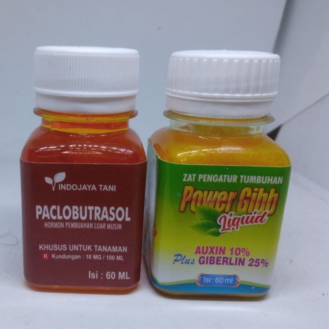 pupuk murah Paket Hormon ZPT  Paklobutrazol dan Powergibb