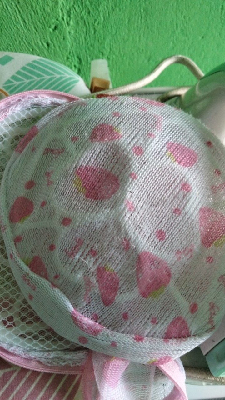 Bra Laundry Bag  Bh Underwear