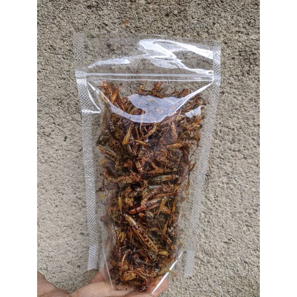 

BELALANG GORENG PEDAS MANIS 40gr