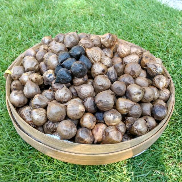 

Bawang Hitam Tunggal