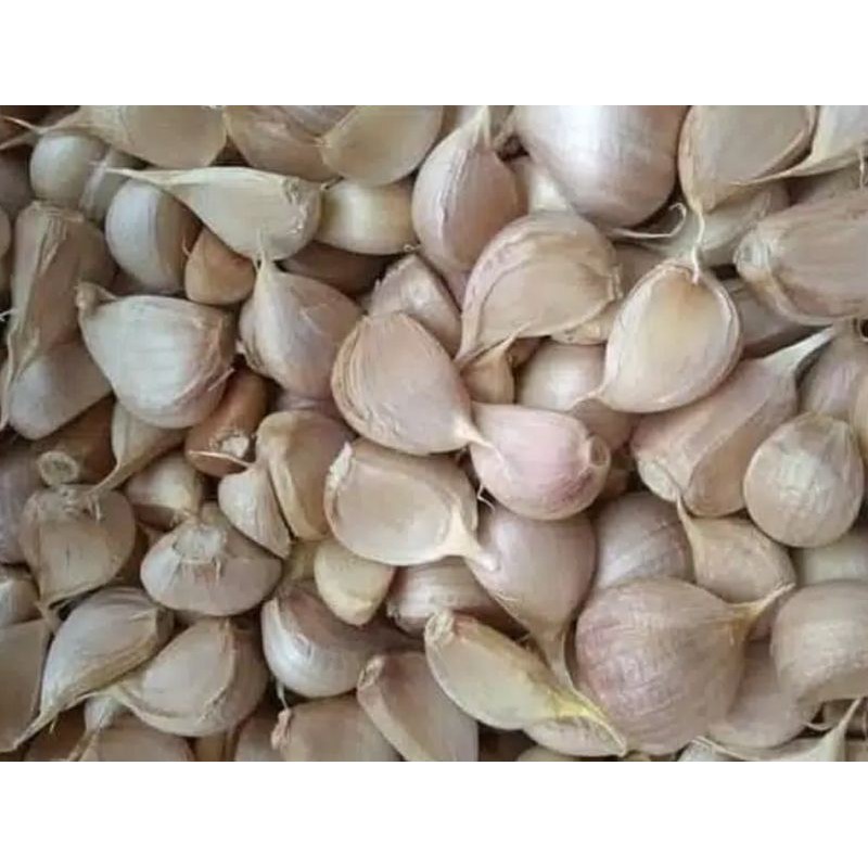 

Bawah Putih