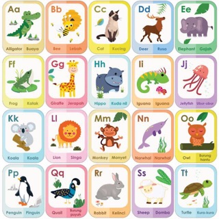 Flashcard alphabet binatang  hewan  flash card nama  