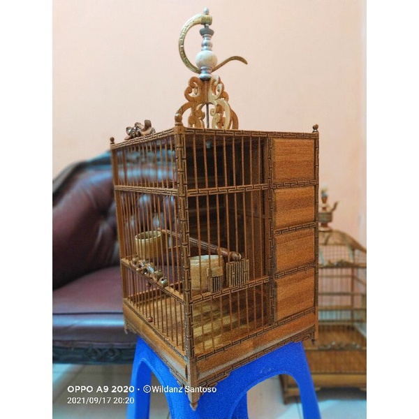 Sangkar cungkok wambi