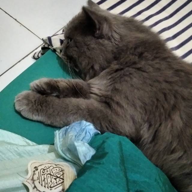 uswatunnisahkhaeruddin