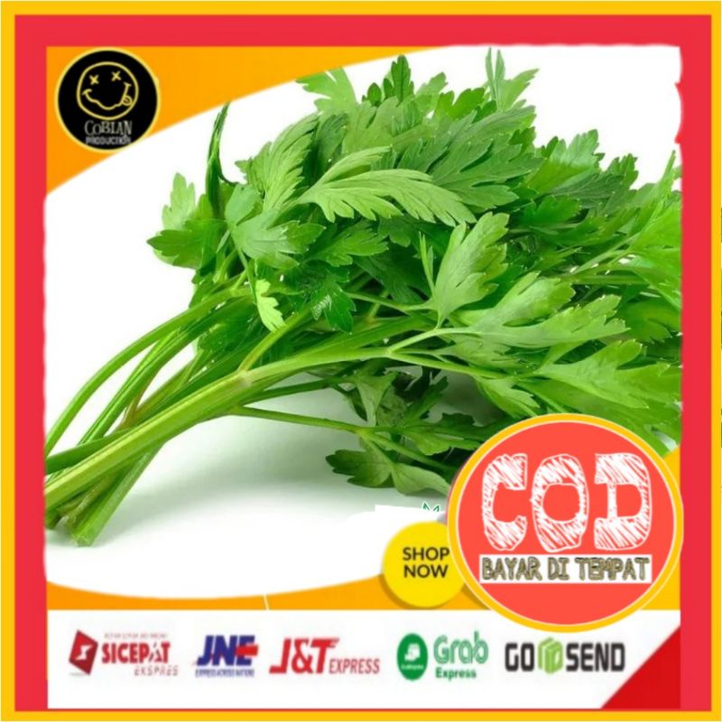 

Daun Bawang Saledri 100g Sayuran Segar Sayuran Fresh Sayuran Organik Sayuran Online Sayuran Terlaris