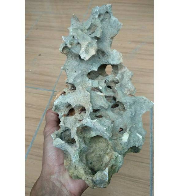 Batu karang Gunung untuk Bonsai dan Aquascape