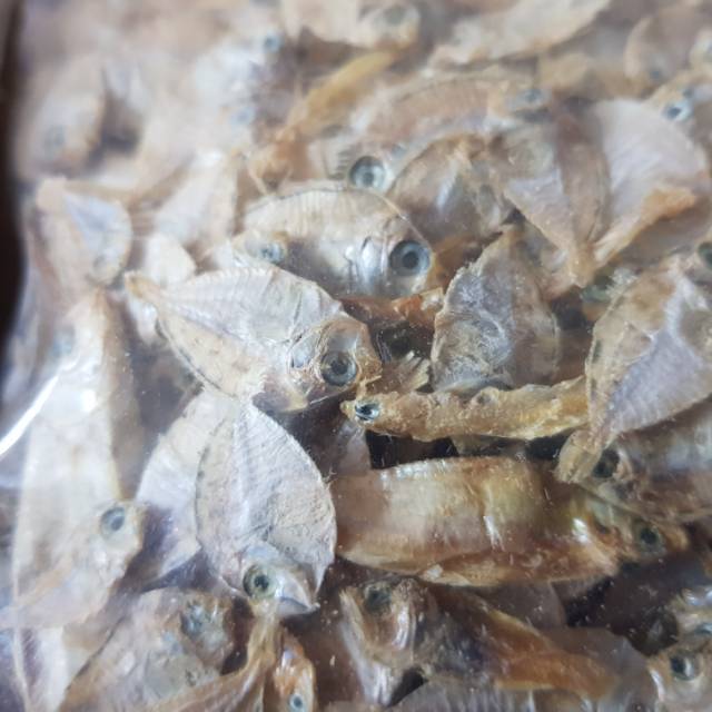 

IKAN PIRIK