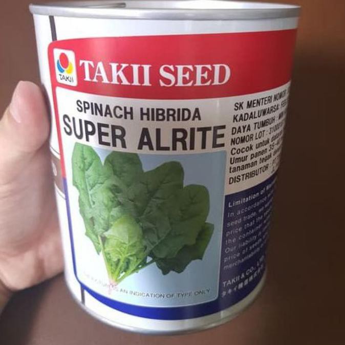 Takii Seed - Benih Daun Bayam Jepang Horenso - Daun Poling Horenzo