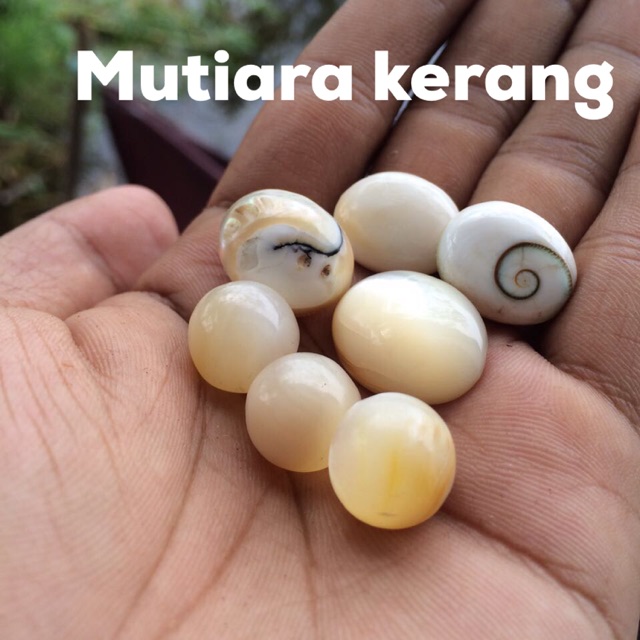 Mutiara Kerang