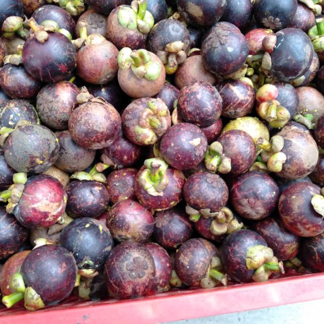 

Buah Manggis kilogram minim order 2 kg @ kilogram