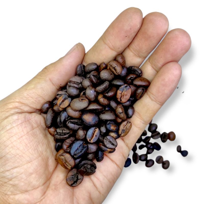 

kopi robusta lampung 500 gram ½ kg coffee bean biji kopi hitam dark roast