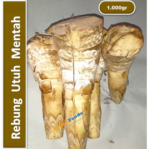 

Rebung Utuh | Mentah [ Harga Per KG ]