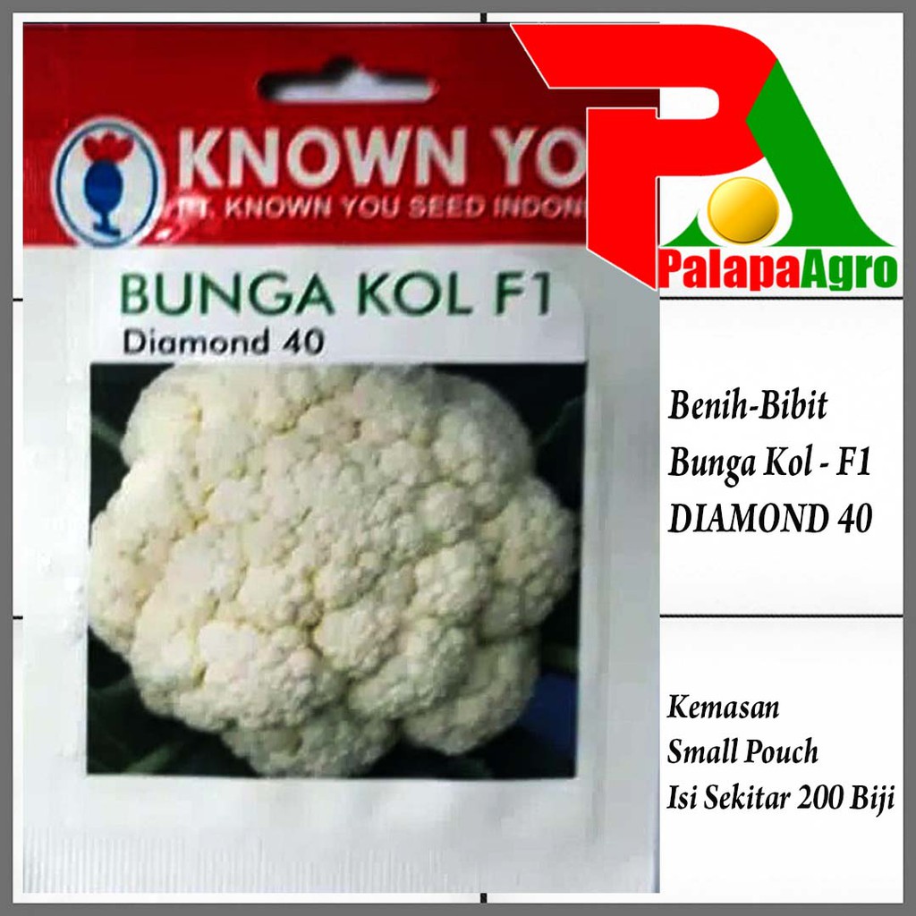 3000 Gambar Bunga Kol HD Gratis Gambar ID