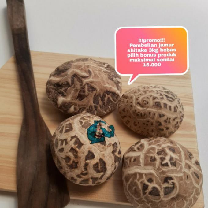 

Big Sale jamur shitake kering 100g Cuci Gudang Awal Tahun