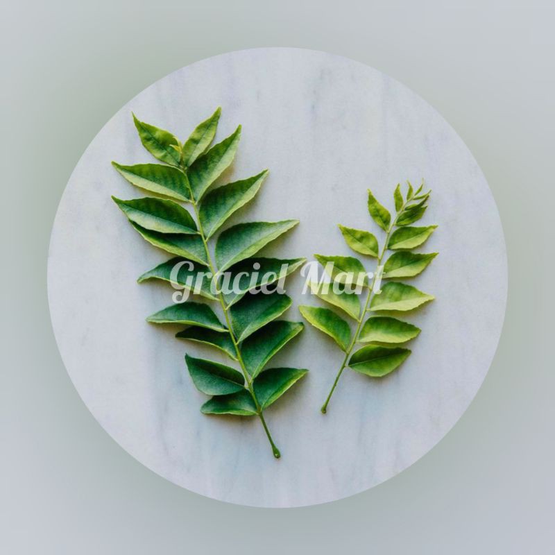

DAUN KARI SEGAR / RUKU-RUKU/ SALAM KOJA / TEMURUI / KOROKELING SEGAR
