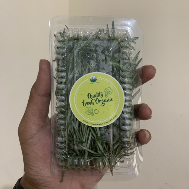 

Daun rosemary / rosemary organik