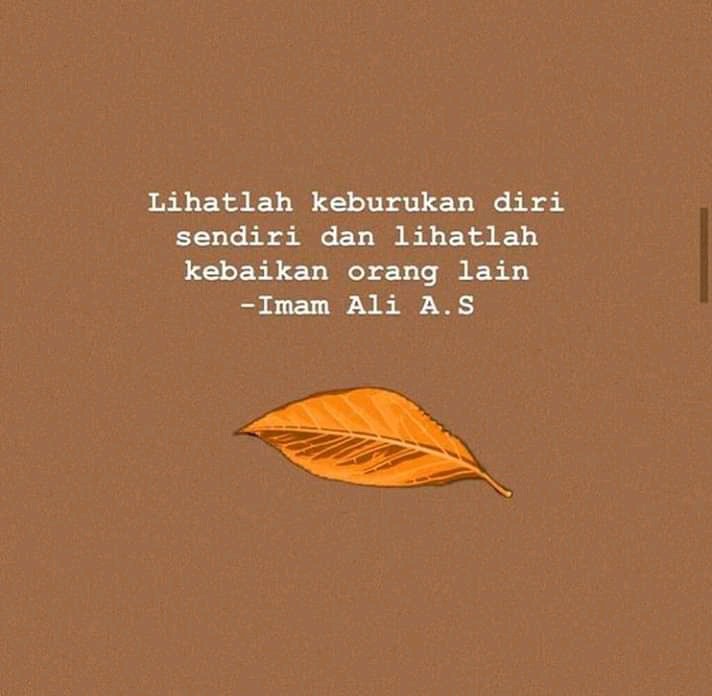 Alat Garuk Punggung Extendable Telescopic Stainless Steel