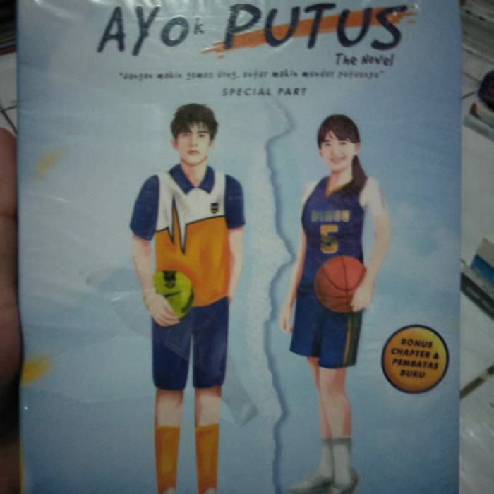 novel ayo putus ananda ryu