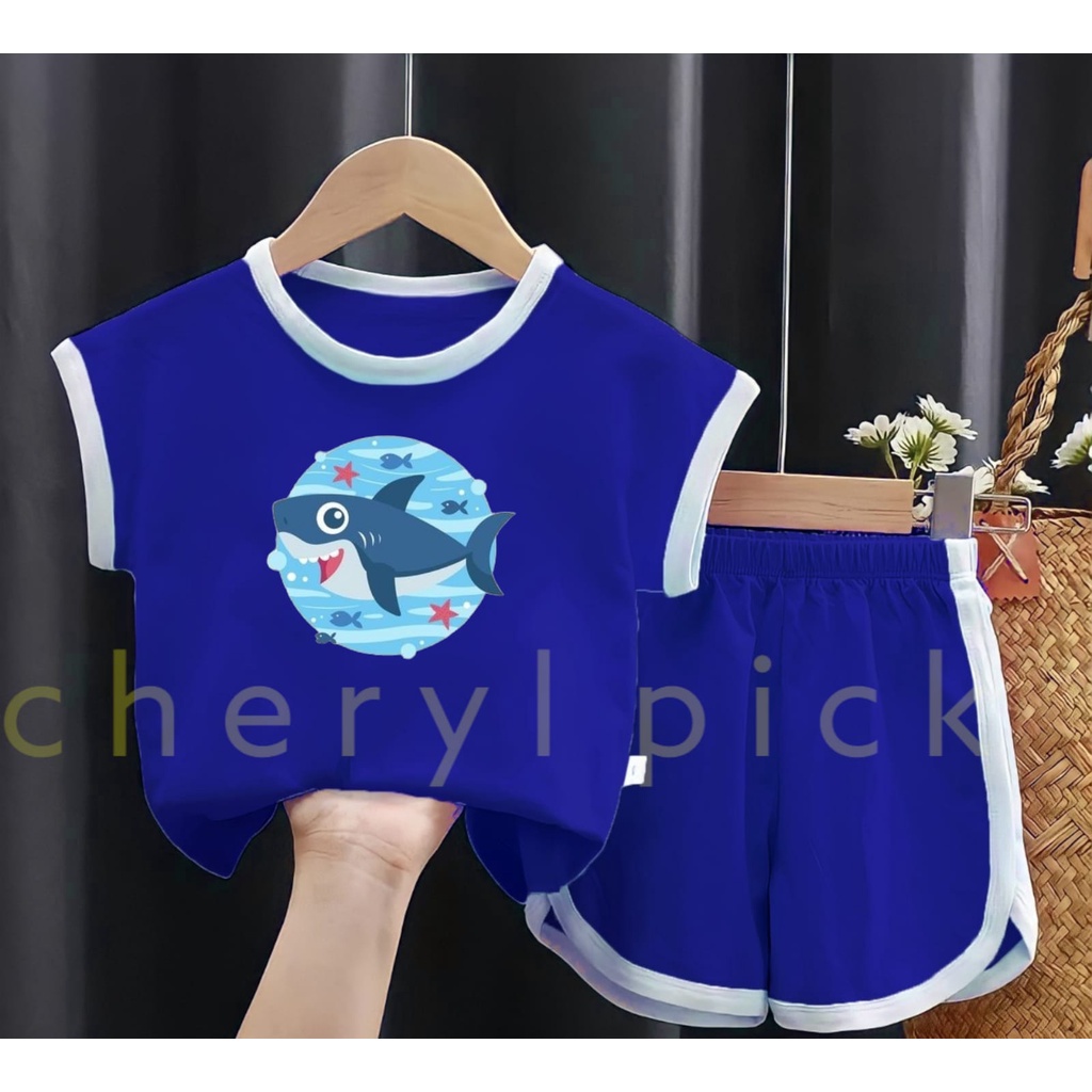 Cherylpick - setelan anak laki laki usia 1-11 tahun , setelan kaos anak