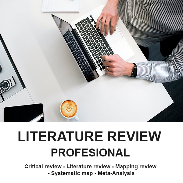 

Literature Review