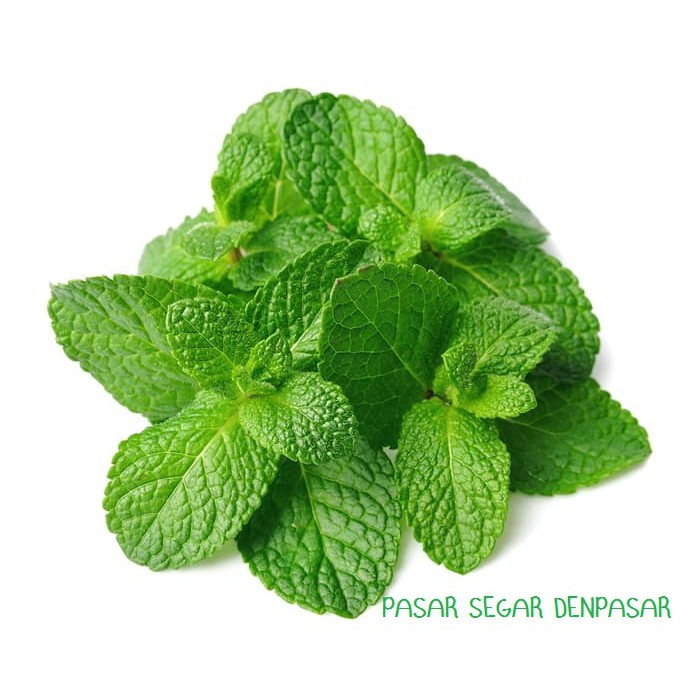 

DAUN MINT 100Gram