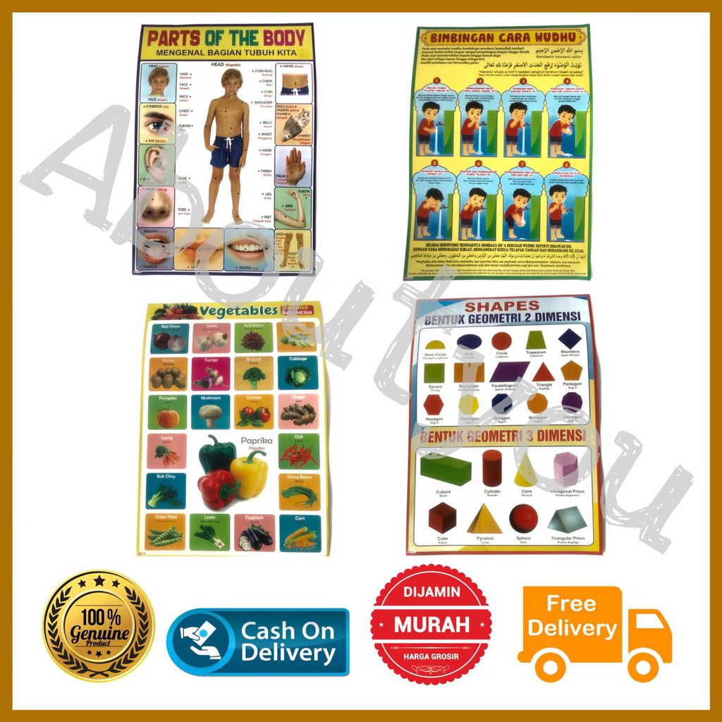 

POSTER Anak Ajar Wudhu Jenis Sayuran Tubuh Poster Bentuk Shape MURAH