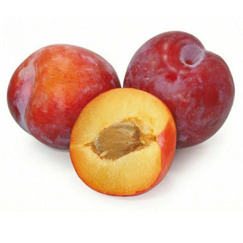 

Buah Segar Plum Amber Jewel 500 gram