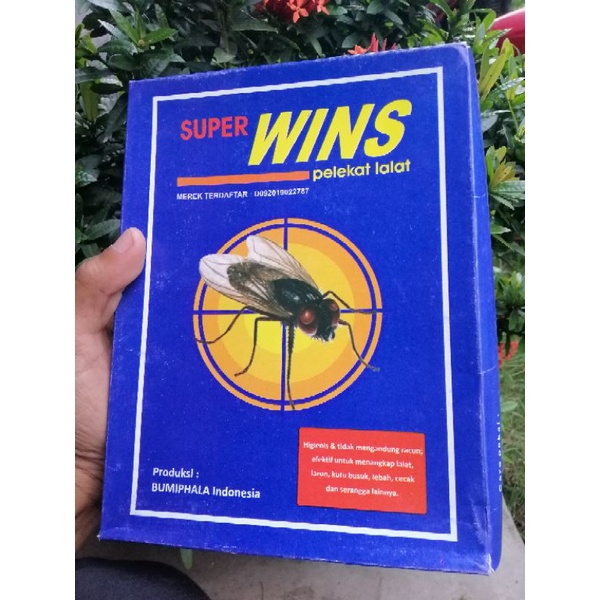 

Lem lalat Super Wins 1 plastik isi 10