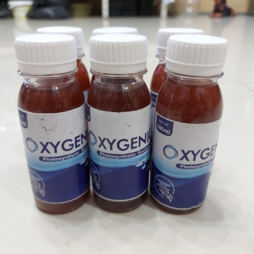 Bakteri Starter Probiotik Oxygenic 100ml Aquarium Kolam Perawatan Akuarium Pertumbuhan Ikan Hias Bacteria Baik Pro Biotik