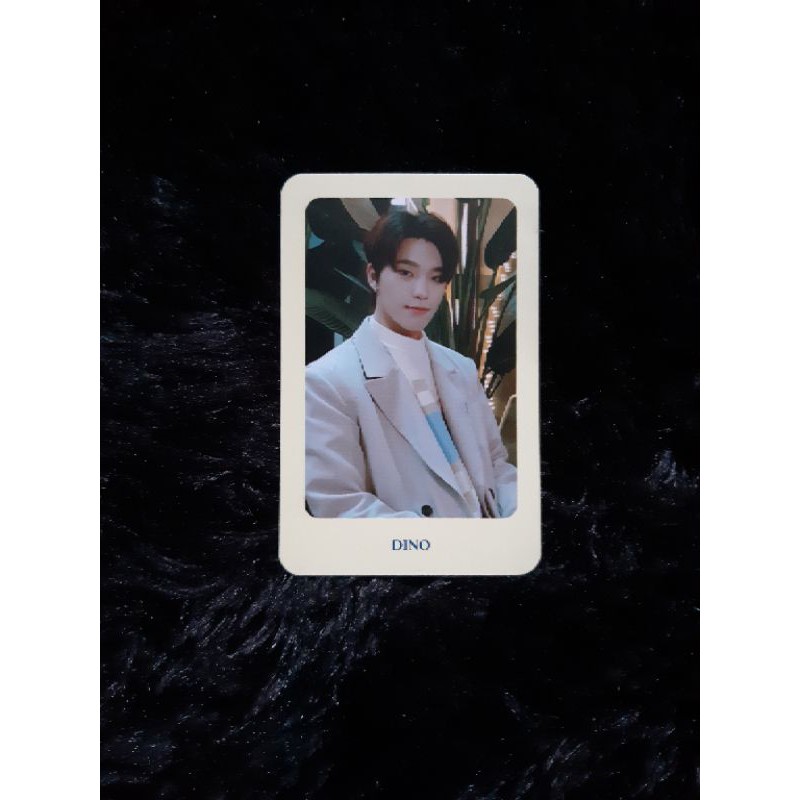 PC DINO SEVENTEEN