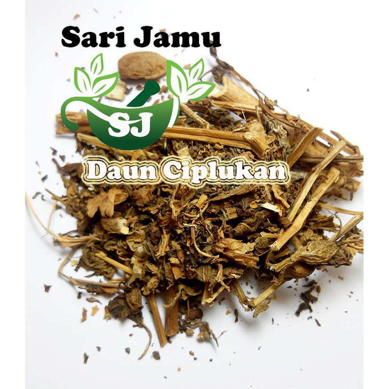 

Open Ds] Jamu Herbal Tradisional Tanaman Daun Ciplukan 500 Gr Untuk Diabetes