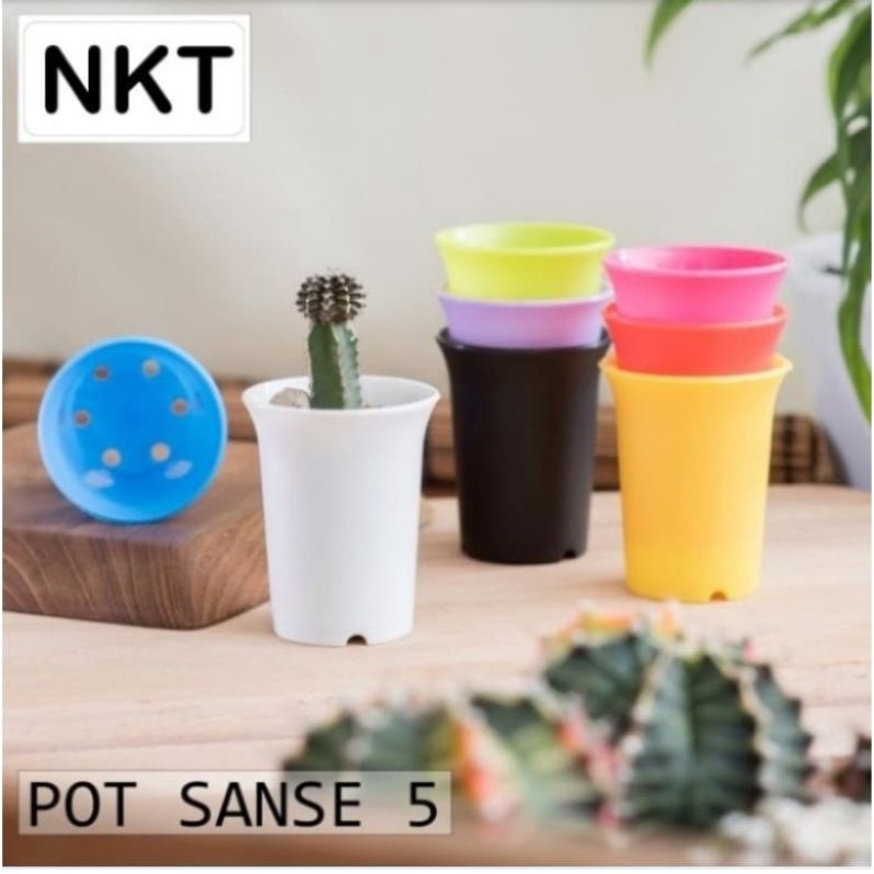 pot sanse 5 cm warna | pot 5 cm | pot kaktus | pot mini | POT NKT (