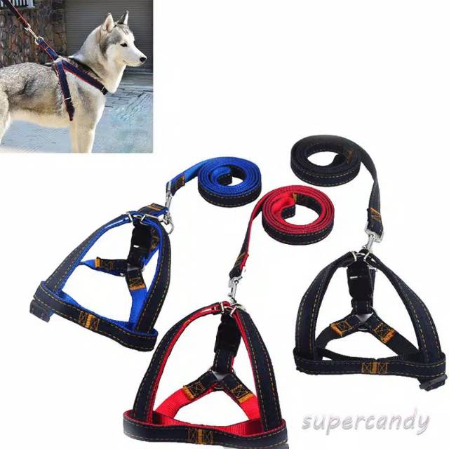 Pet Harness &quot;CLASSIC DENIM&quot; Kalung Tali Tuntun Anjing Besar