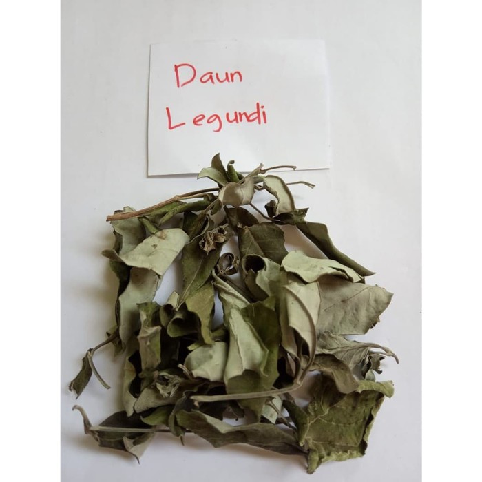 

Daun Legundi Kering / Vitex Tifolia / Laura 100 gram