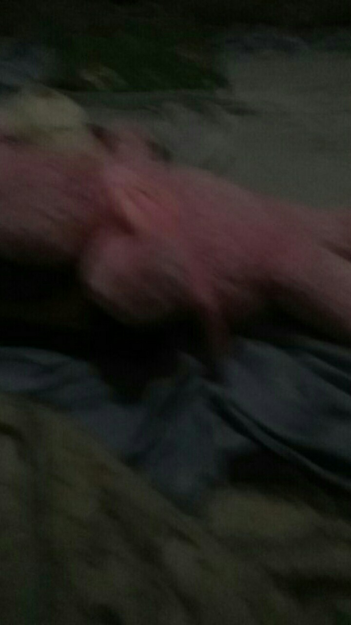 Kamila Produsen Hiasan Dinding Poster Kayu Sambung Lafadz Allah, Muhammad & Ayat Kursi Project7 1530