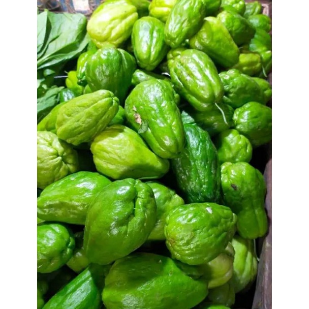 

sayur labu Siam harga 1 kg 13000 rb