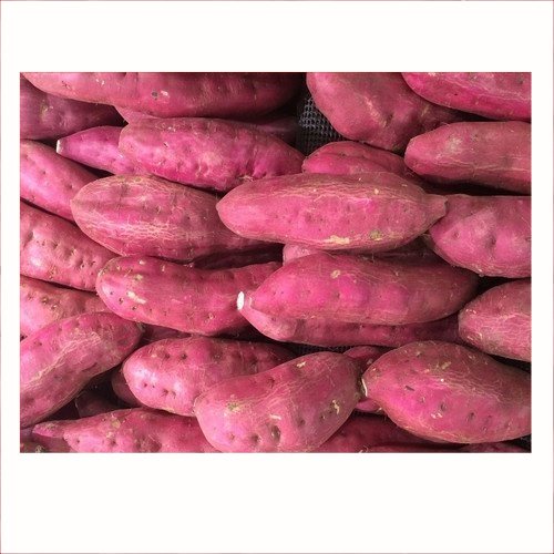 Ubi Rambat Ungu |  | Buah Segar 1Kg | Pasar Induk Pekanbaru #Harga_Grosir