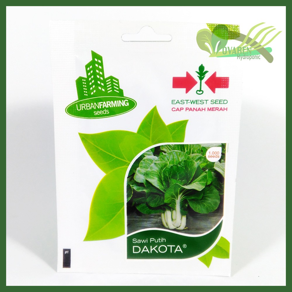 Benih Bibit Sawi Putih Dakota Cap Panah Merah