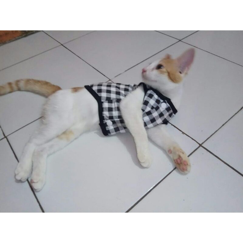 Baju kucing cowo &quot;basic&quot;