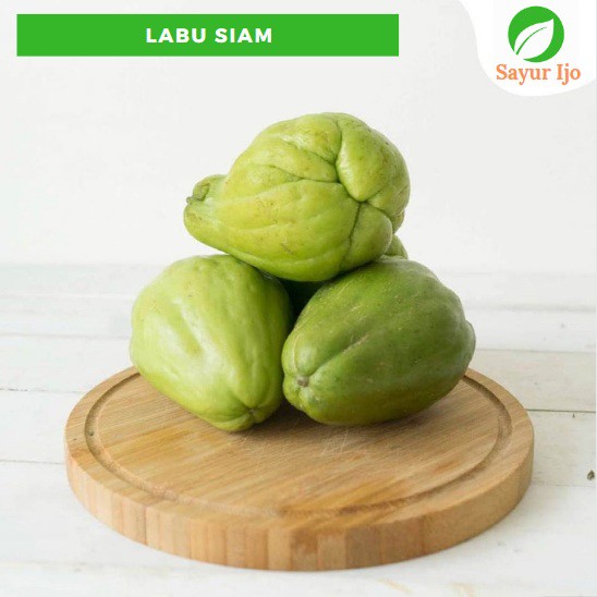 Jual Labu Siam Besar 450 500 Gram Fresh Jipang Chayote Sayur Hijau