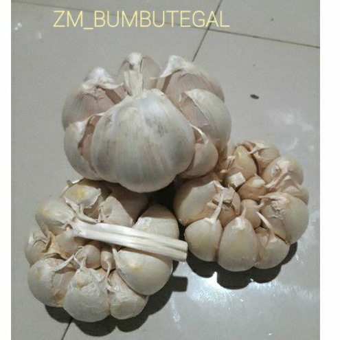 

BAWANG PUTIH 1 Kg BERSIH