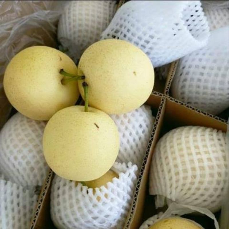 

Buah pir / pear 1 kg