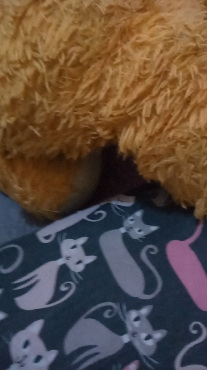 Kapur Ajaib Anti Serangga Dan Kecoa [ Jual Pak An ]