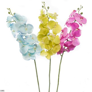 Bunga Plastik Anggrek 1081 Shopee Indonesia Bunga Plastik Anggrek 1081 Shopee Indonesia