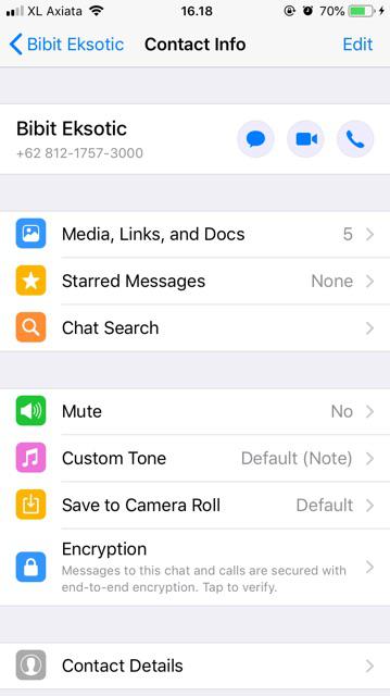 Tanaman Anggur Merah