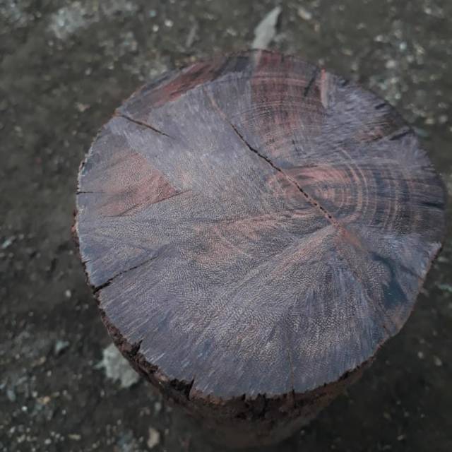 Bahan kayu galih asem full galih 1kg gram