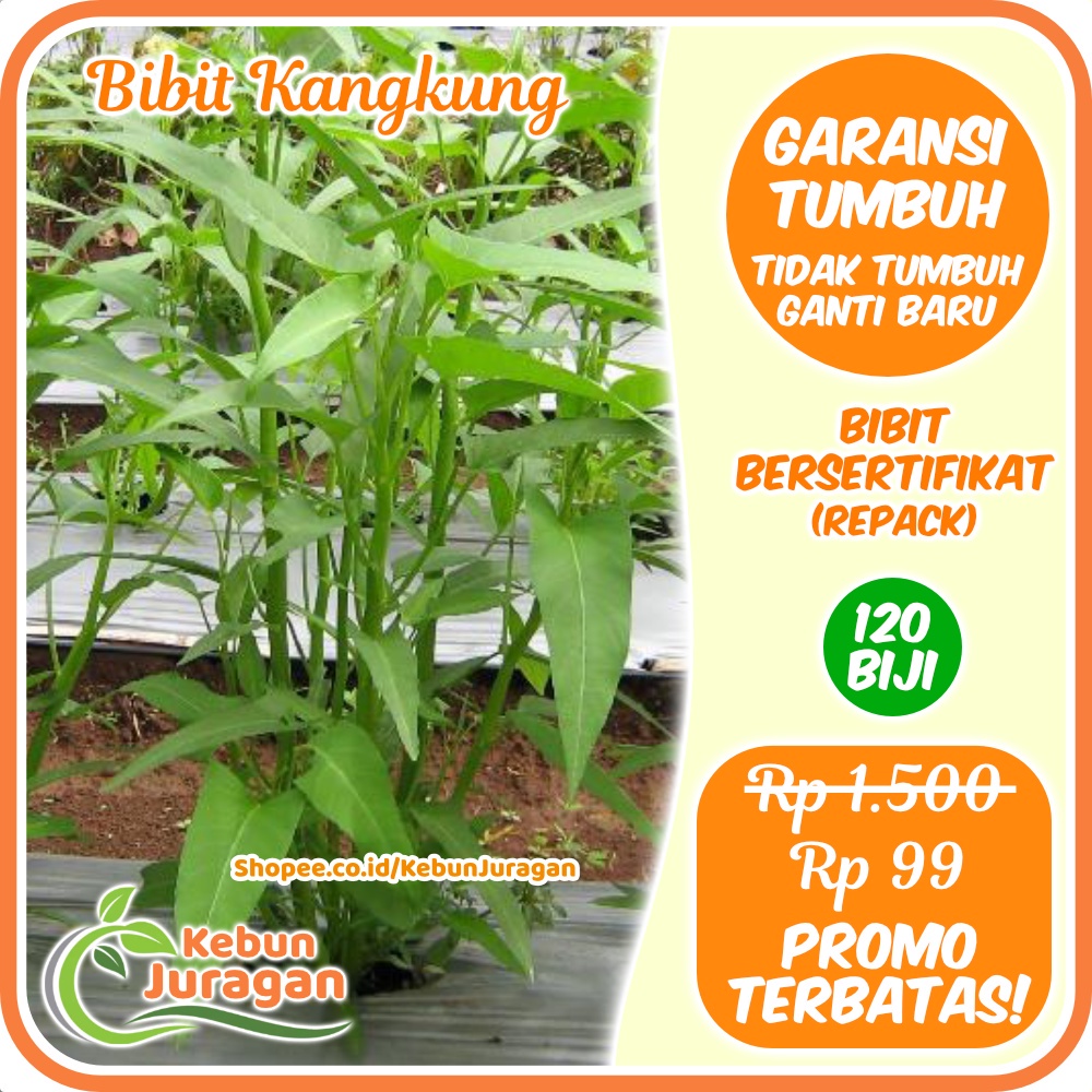 Jual Bibit Benih Kangkung Unggul Bersertifikat Repack Bibit Sayuran