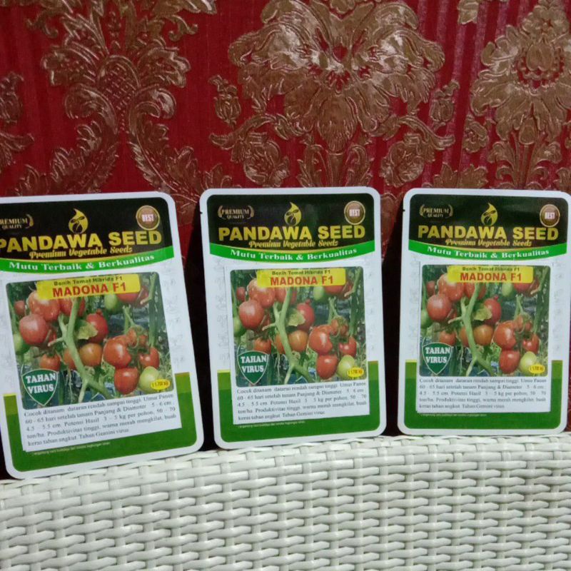 MADONA F1 bibit tomat berkualitas tahan virus kuning dan layu sangat rekomendasi